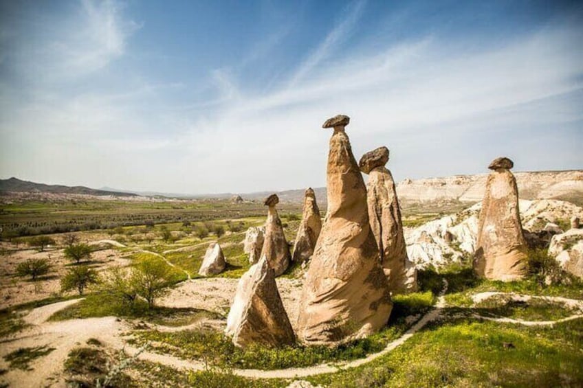 Formazioni rocciose in un paesaggio desertico. 1