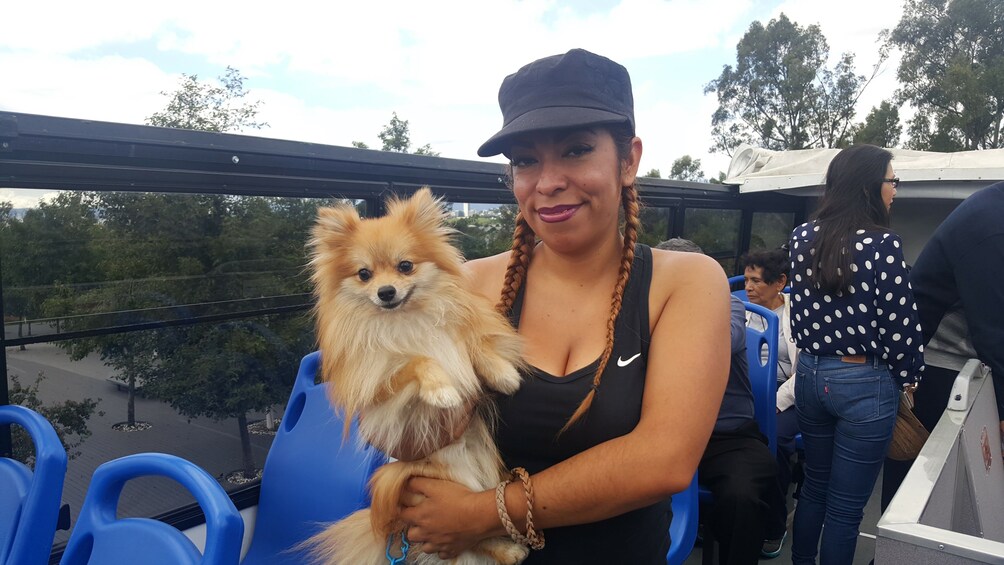 A person holding a small dog on a covered outdoor area with blue chairs and trees in the background. 4
