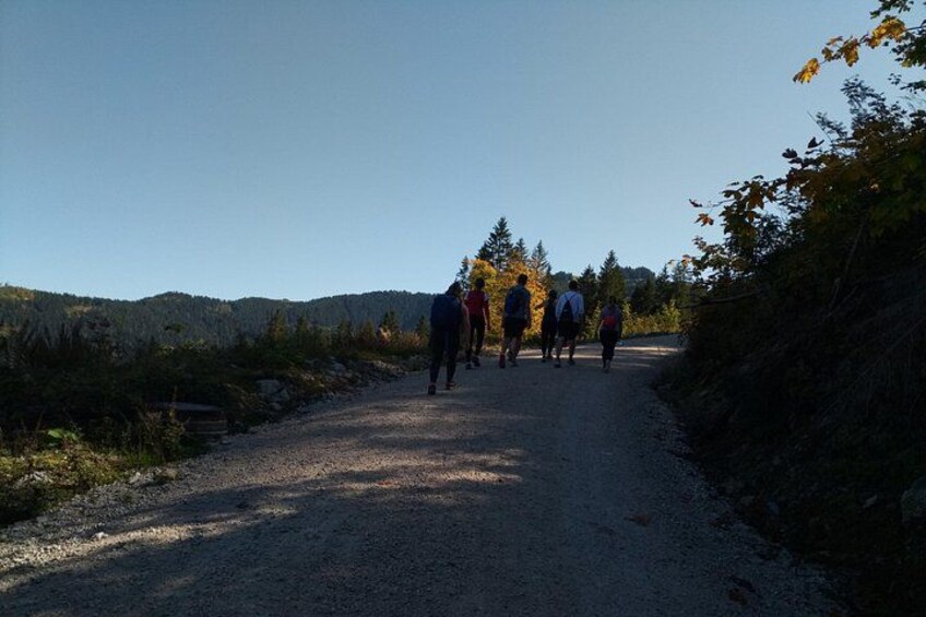 A gravel path with people walking. 3