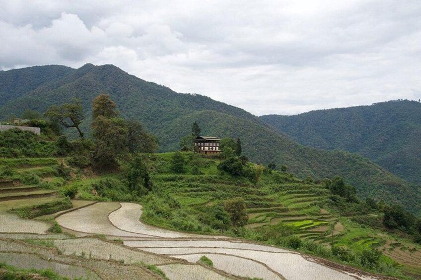 Terraced rice fields, a traditional building, and a mountainous landscape. 2