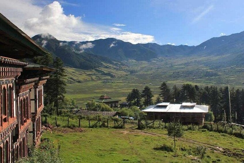 A rural landscape with a building, a vineyard, and mountains in the background. 4