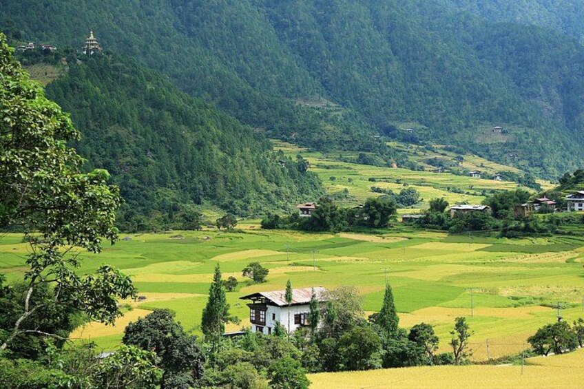 A mountainous landscape with terraced fields, a small house, and a temple on a hill. 3