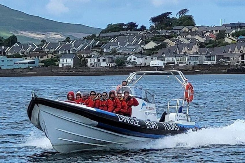 Spraoi, departing Dingle town. 2
