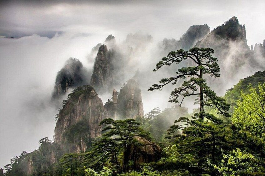 1-Day Mt. Huangshan Tour with Optional Hongcun & Xidi Village 2