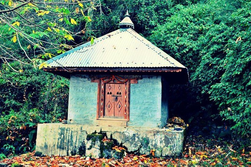 A small, rustic shrine with a tiled roof and a wooden door, surrounded by dense foliage and fallen leaves. 2