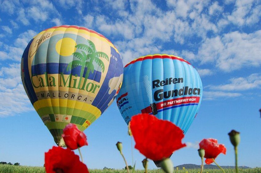 Deux montgolfières, l’une portant l’inscription « Cala Millor » et l’autre « Reifen Gundlach », survolent un champ parsemé de fleurs rouges. 4