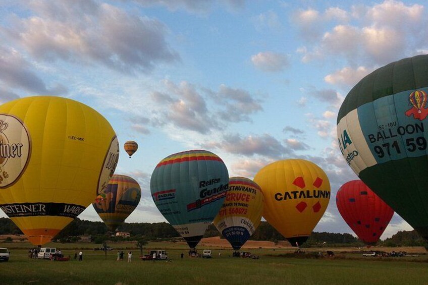 Une rangée de montgolfières aux couleurs vives, ornées de divers logos et de textes, est stationnée sur un champ d’herbe. 5