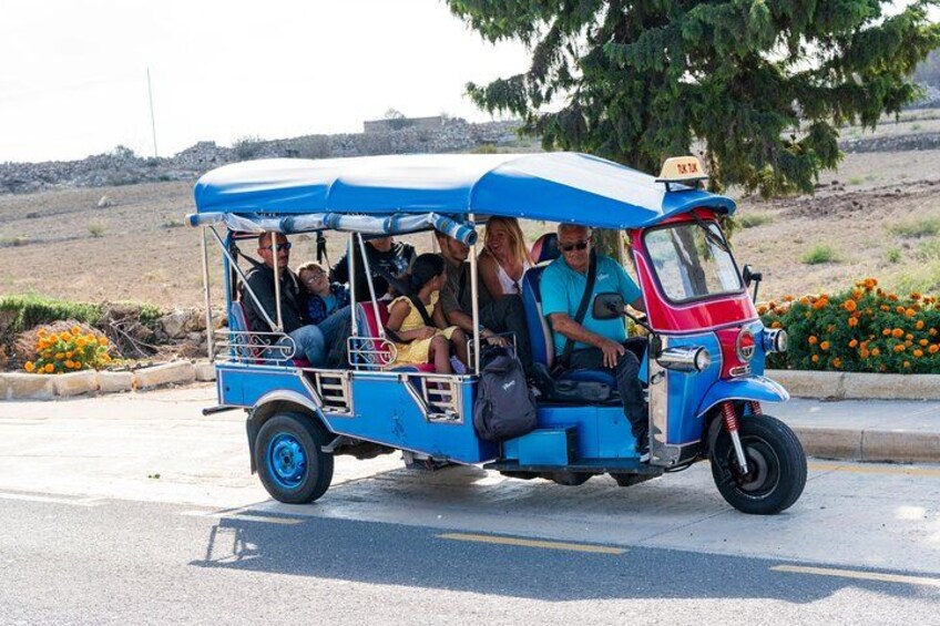 A blue and red auto-rickshaw with passengers, parked on a road with flowers and trees in the background. 5