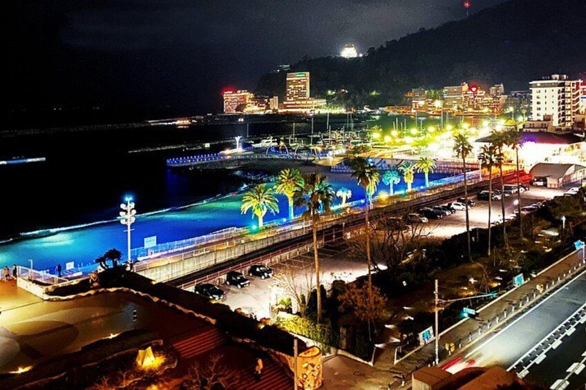 Atami Customized Private Tour in 1 Day with Licensed Guide 3
