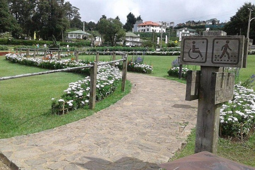 Nuwara Eliya Tour 5
