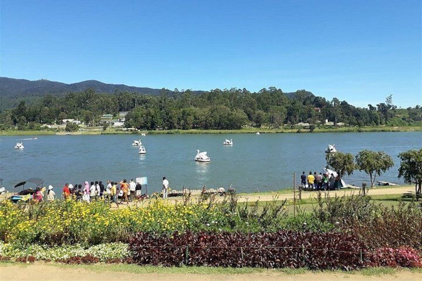 Nuwara Eliya Tour 4