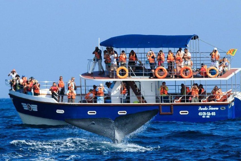 A boat with people wearing orange life jackets, floating on blue water. 1