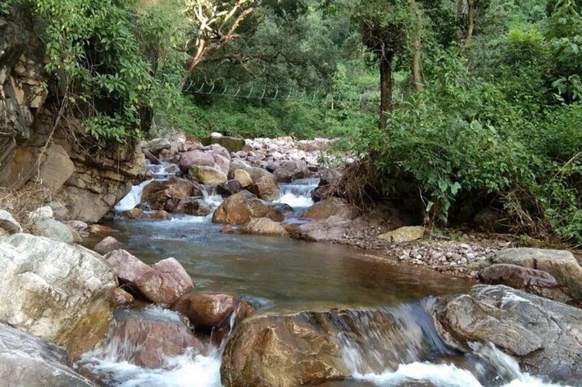 Camping in Rishikesh - 1N 2D 2