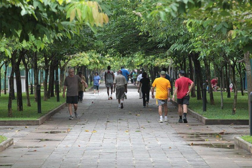 Een verhard pad omzoomd met bomen, met mensen die in beide richtingen lopen. 2