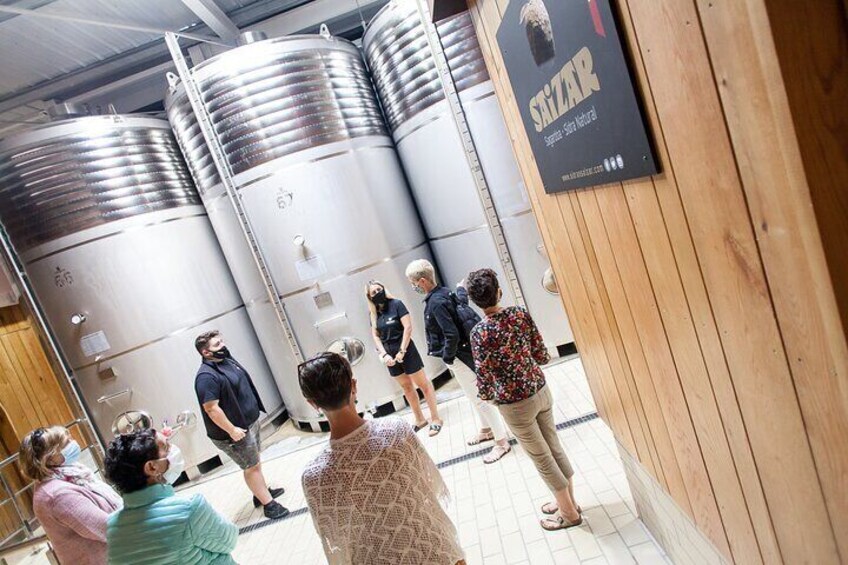 "Basque Cider House" guided tour + meal from San Sebastian