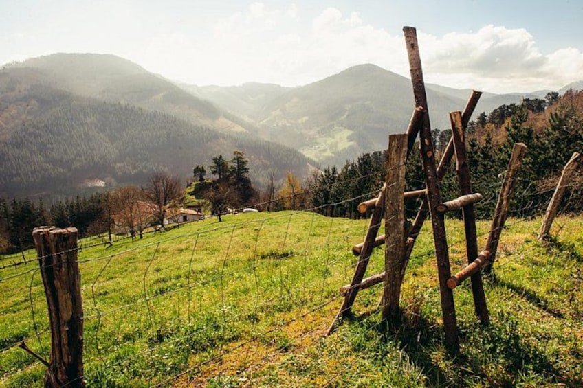 " Basque Farm House & Cider house" tour + meal from San Sebastian 2
