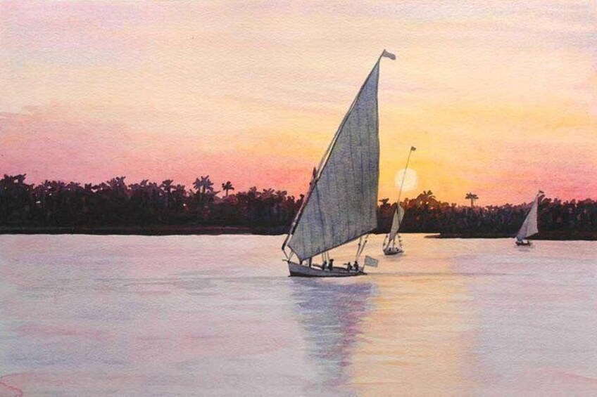 Private Full Day Tour: To Aswan From Luxor 2