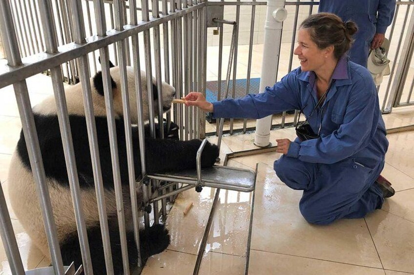 All-Inclusive Private Day Tour of Panda Volunteer Experience in Chengdu 1