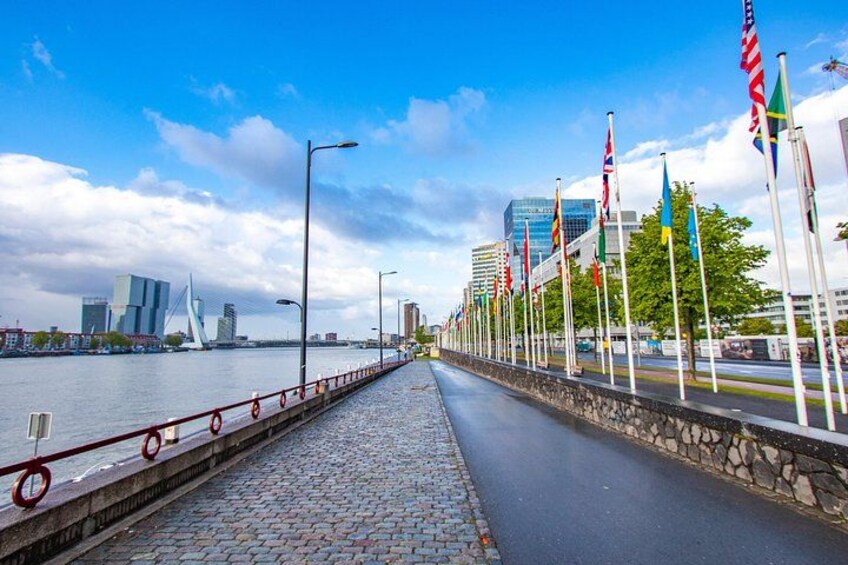 Best Intro Tour of Rotterdam with a Local 1