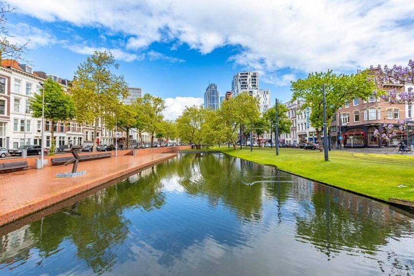 Best Intro Tour of Rotterdam with a Local 2
