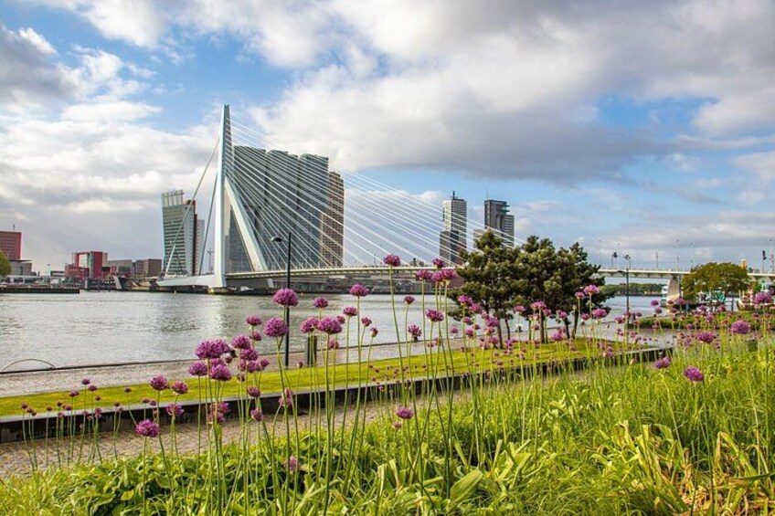 Best Intro Tour of Rotterdam with a Local 3