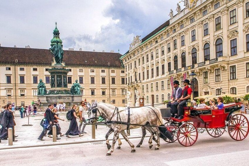 Explore Vienna in 60 minutes with a Local 5