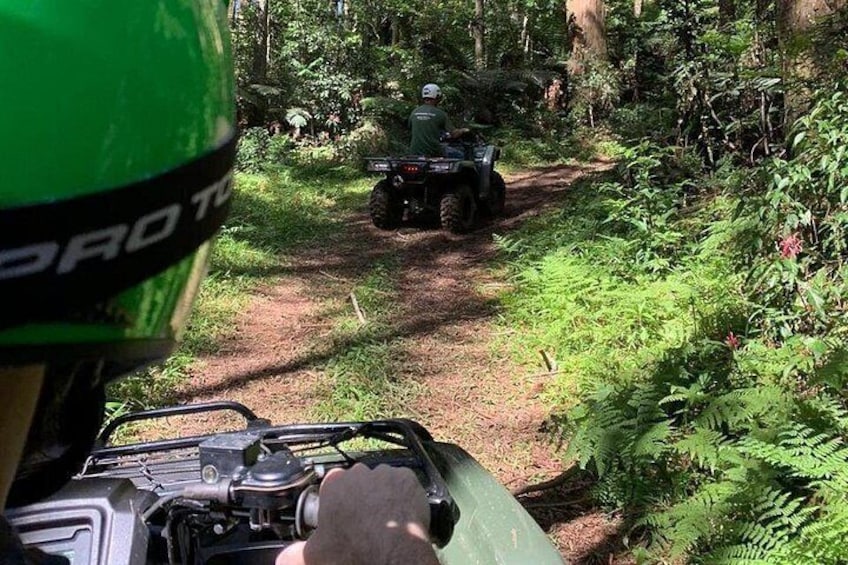 Quadricycle Tour to the Hills with Off Road 15km - 2 people 3