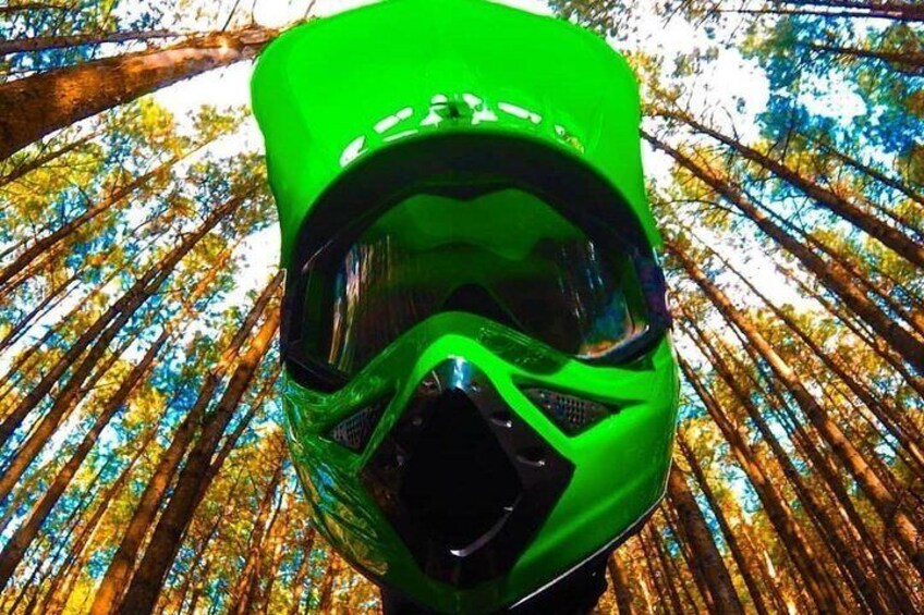Ein grüner Helm in einem Wald. 3