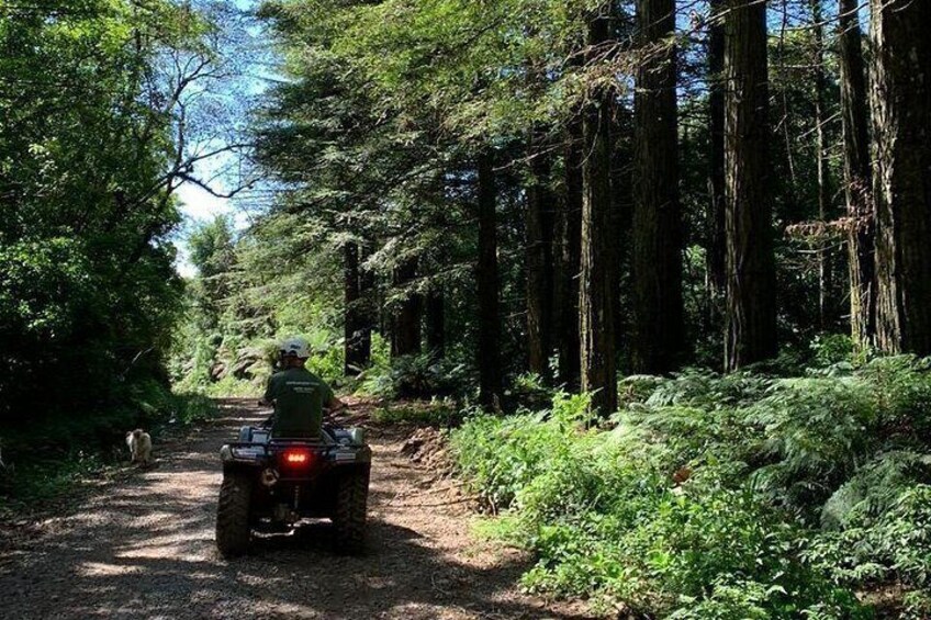 Quadricycle Tour to the Hills with Off Road 15km - 2 people 2