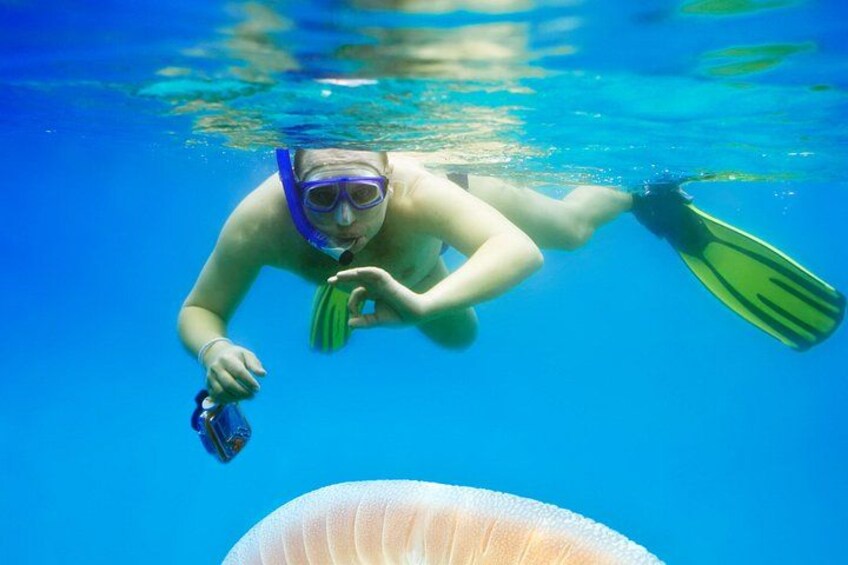 A person snorkeling underwater with fins and a mask. 2