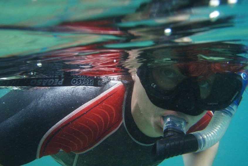 Snorkeling with butterfly diving 5