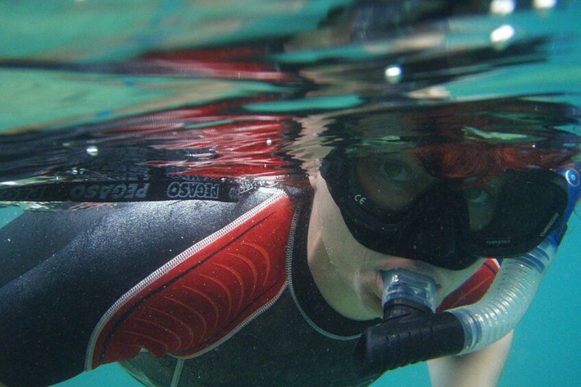 A person underwater, wearing a snorkel and fins. 5