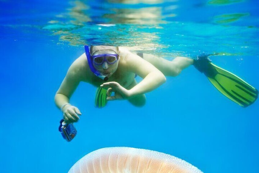 Snorkeling Brela 2