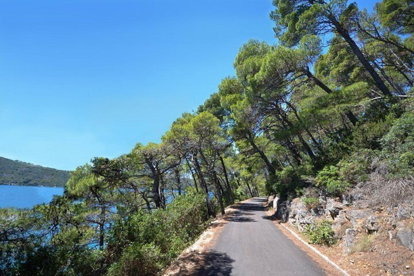 Mljet National Park and 3 Island Boat Tour from Dubrovnik 2