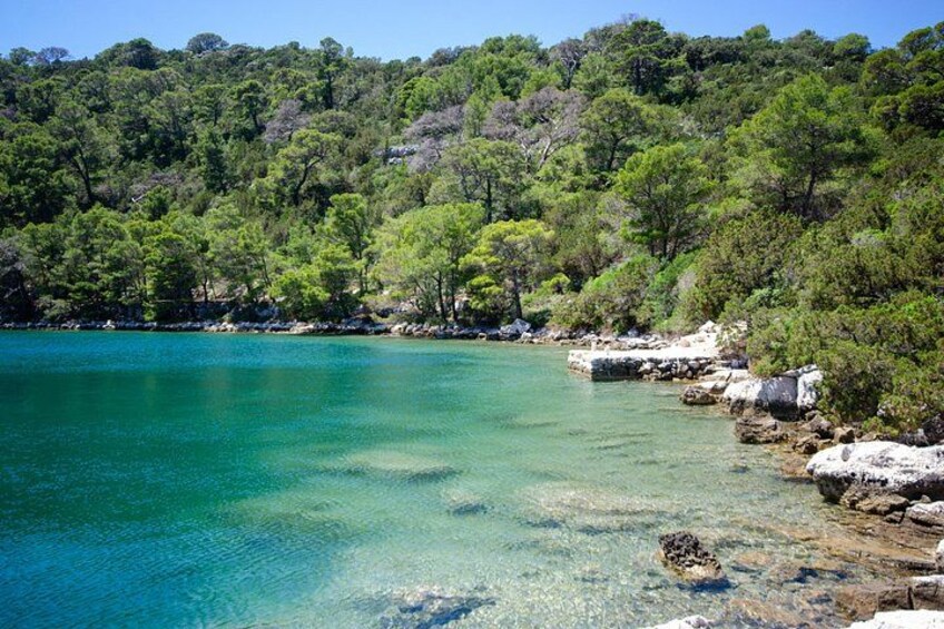 A clear turquoise sea, rocky shoreline, and dense green forest. 3