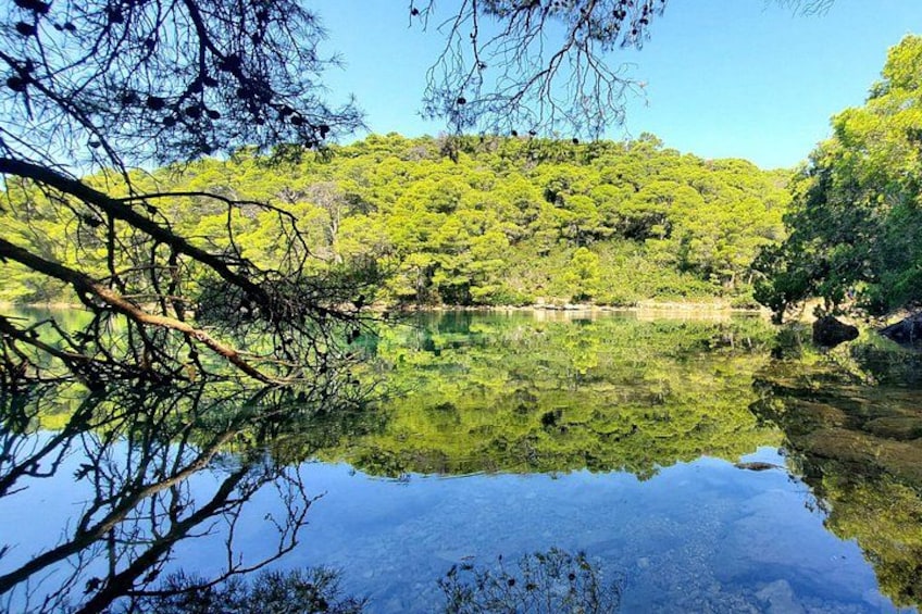 Mljet National Park and 3 Island Boat Tour from Dubrovnik 4