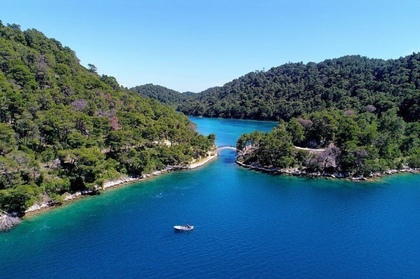 A coastal landscape with a boat on the water, surrounded by dense forest and a clear blue sky. 1
