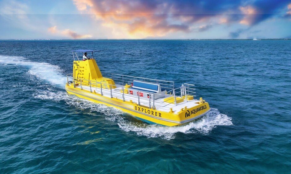 Paradise Subsee Cruise in Cancun 4