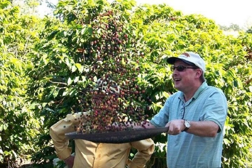 A person holding a large tray of cherries. 1