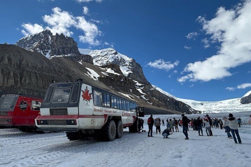 Along Icefields Parkway: Peyto Lake, Bow Lake & Columbia Icefield 1