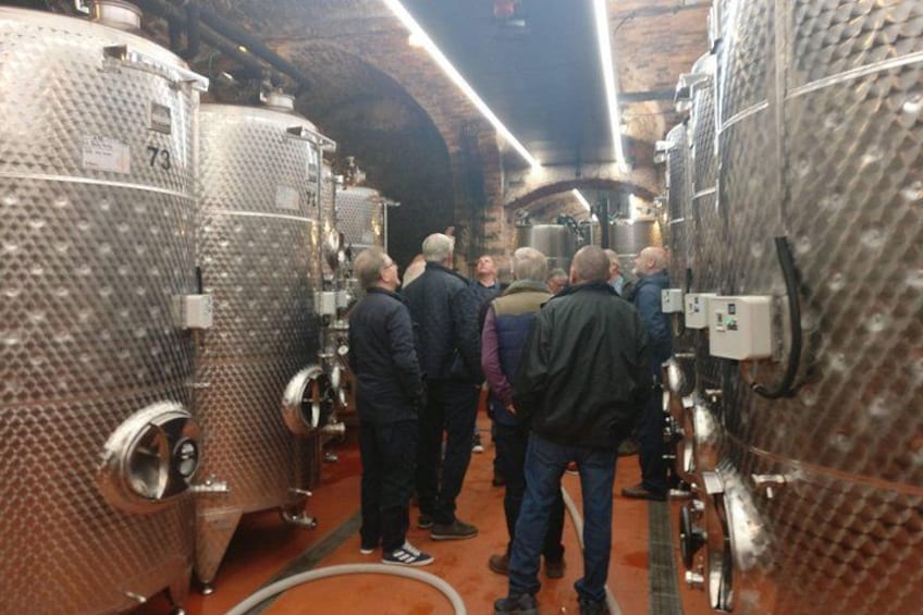Day trip from Bratislava: Winery Tour with Wine Tasting in the Countryside 5