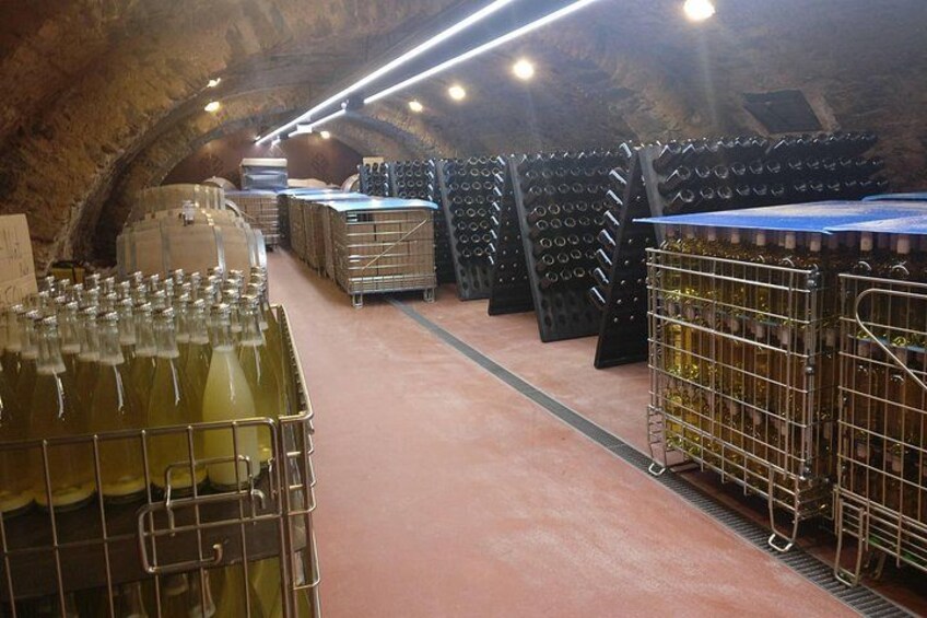 Day trip from Bratislava: Winery Tour with Wine Tasting in the Countryside 4