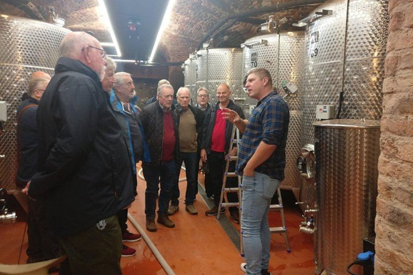 Day trip from Bratislava: Winery Tour with Wine Tasting in the Countryside 2