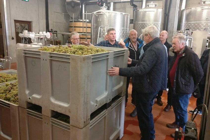 Day trip from Bratislava: Winery Tour with Wine Tasting in the Countryside 3