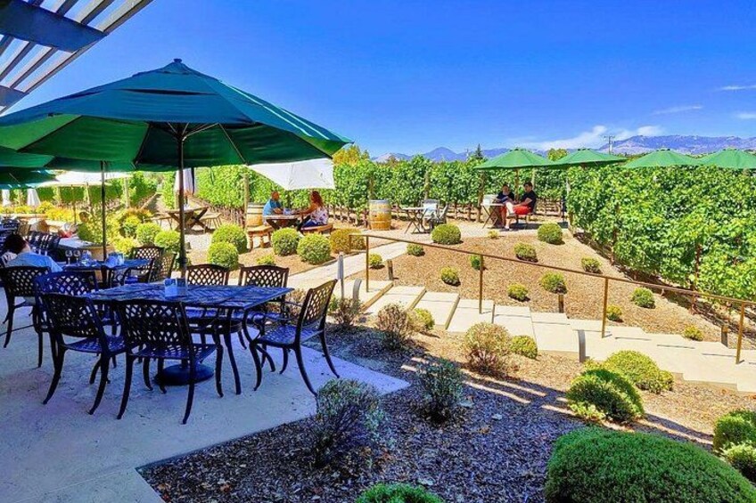 Wine tasting at the winery 2
