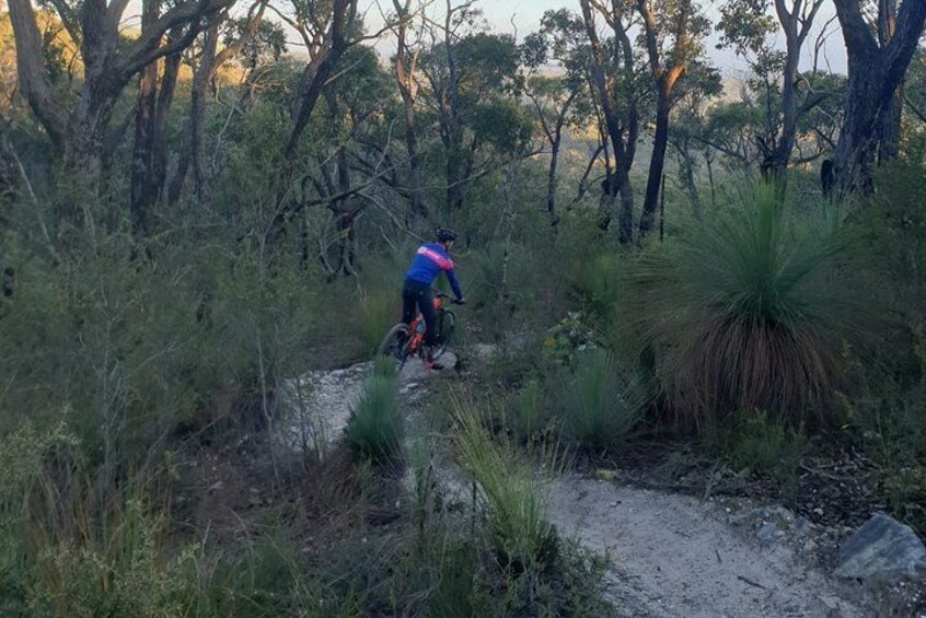 A person riding a mountain bike on a dirt trail surrounded by dense vegetation and trees. 2