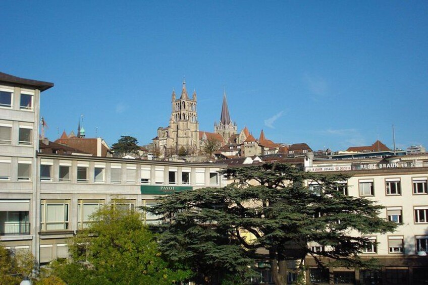 A historic cathedral with spires, modern buildings, and a large tree in the foreground. 2
