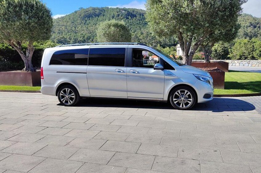 Una minivan plateada estacionada en un camino pavimentado, con árboles y una ladera al fondo. 2