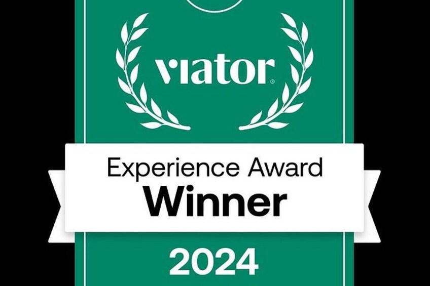 A green award plaque with the text 'VATOR Experience Award Winner 2024' and a white ribbon. 2