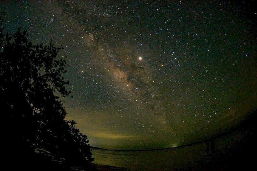 Bioluminescence Tour by Car at Holbox 4